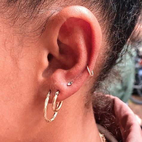 EAR CURATION on Instagram: “Triple lobe piercings and low mid-helix by @kanpatha 🌟 //image via @kanpatha 🌙” Mid Cartilage Piercing Hoop, Double Low Helix Piercing, Mid Cartilage Piercing, Triple Lobe, Triple Lobe Piercing, Triple Piercing, Three Ear Piercings, Cartilage Piercing Hoop, Ear Curation