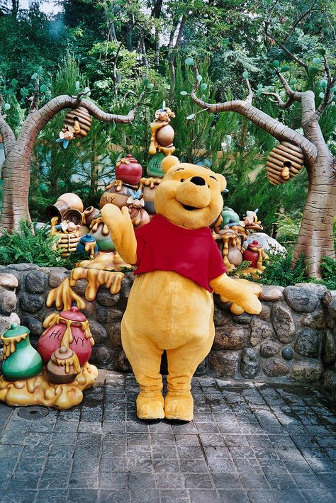 Pooh Bear at DL 2002 Disneyland For Toddlers, Disney Hugs, Disneyland With Toddlers, Disneyland With A Toddler, Disney Travel Agent, Disney Best Friends, Disney Travel Agents, Disney Vacation Planner, Disney Photo Ideas