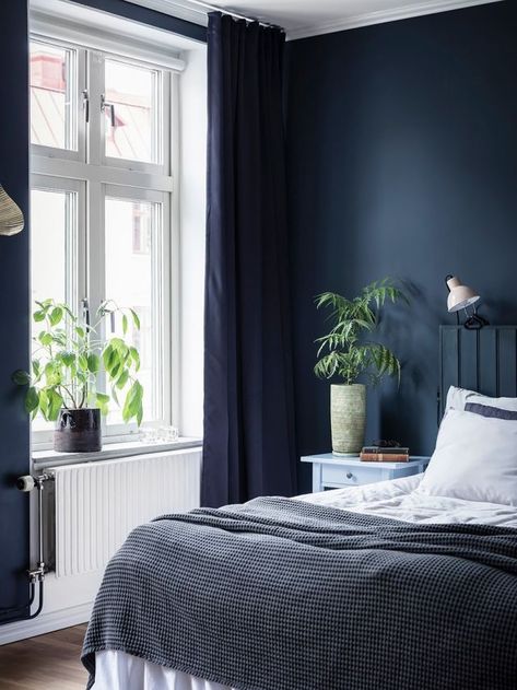 Dark Blue Curtains, Dark Blue Rooms, Reading Bedroom, Dark Blue Bedrooms, Blue Bedroom Walls, Coco Lapine Design, Blue Bedroom Decor, Blue Curtains, Blue Rooms