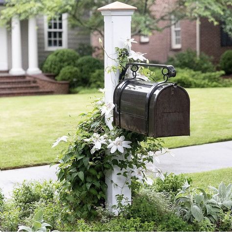 Benjamin Moore Gray Mist, Driveway Posts, Front Entry Landscaping, House Driveway, Mailbox Garden, Mailbox Makeover, Mailbox Landscaping, Benjamin Moore Gray, Unique Mailboxes