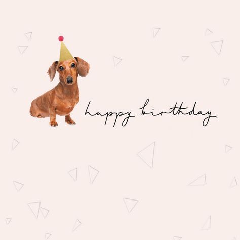 Electrical Products, Dog Party, Name Day, Sausage Dog, Party Shop, Party Card, Greetings Cards, Buying Gifts, Birthday Wishes