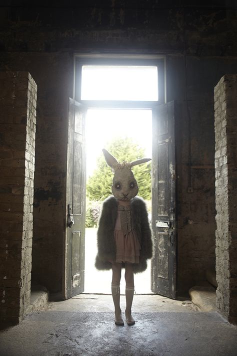 Fae Fashion, Images Terrifiantes, Bunny Mask, Creepy Photos, Arte Peculiar, Rabbit Head, Creepy Pictures, Creepy Art, 판타지 아트