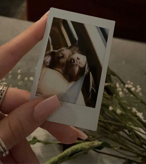 Dog Polaroid Pictures, Poloride Pictures Aesthetic, Polaroid Instagram Story, Aesthetic Polaroid Pictures, Aesthetic Trip, Photo Inspo Instagram, Becoming Her, Aesthetic Polaroid, Insta Story Ideas