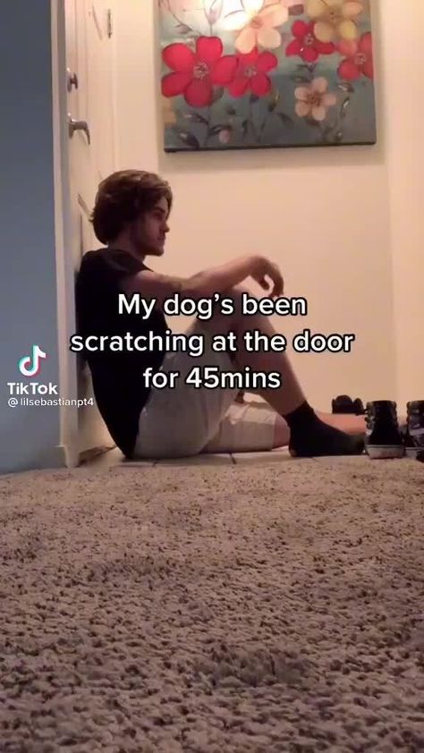 My dog's been scratching at the door TikTok for 45mins - ) Scary Ghost Videos, Short Scary Stories, Scary Clips, Short Creepy Stories, Scary Sounds, Creepy Gif, Horror Aesthetic, Short Horror Stories, Scary Facts