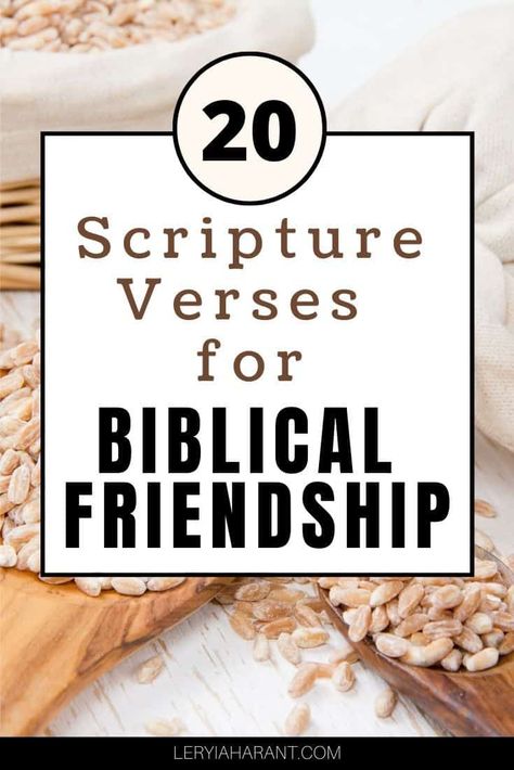 Verses On Friendship, Friend Scripture, Scripture For Friendship, Scriptures On Friendship, Friendship Cookies, Biblical Friendship Quotes, Friendship Scripture Bible, Bible Verses On Friendship, Friendship Bible Study