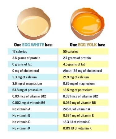 Eggs and Cholesterol Egg Alternatives, Nose Picking, Cholesterol Lowering Foods, Lower Your Cholesterol, Hdl Cholesterol, Ldl Cholesterol, Live Healthy, High Cholesterol, Lower Cholesterol