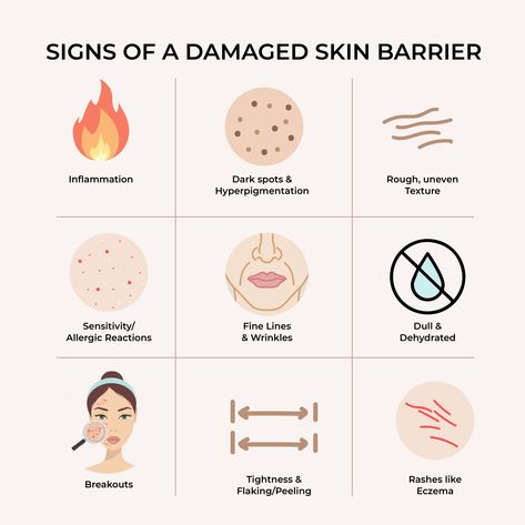 Damaged Skin Barrier, Skin Facts, Esthetician Marketing, Skin Advice, Skin Science, Skin Clinic, Skin Barrier, Dehydrated Skin, Skin Tips