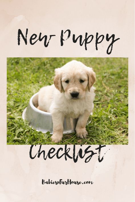 Congratulation on your new puppy! Here's a list of everything you'll need to get started so you have more time for fun!  Babiesnfurhouse.com Surprise Puppy Reveal Kids, Puppy Schedule, New Puppy Checklist, Puppy Checklist, Shepherd Dog Breeds, Potty Training Puppy, Cute Dog Pictures, Free Print, Puppy Care