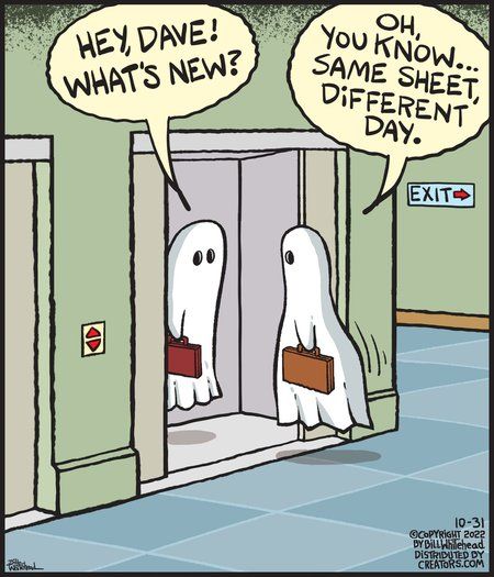 Work Puns, Ghost Jokes, Halloween Greeting Cards, Halloween Jokes, Halloween Memes, Funny Cartoon Pictures, Funny Cartoons Jokes, Halloween Greeting Card, Halloween Greetings