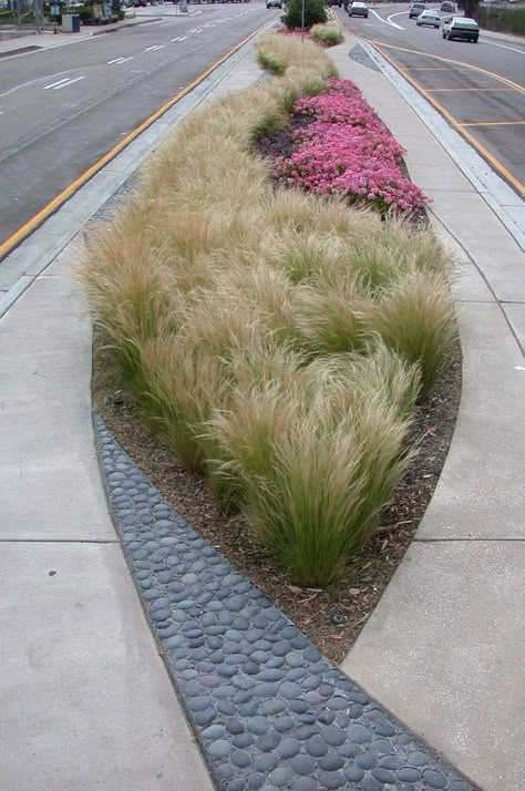 Road Median Landscape Design, Urban Landscape Architecture, What Is Landscape Architecture, Architecture Plants, Sidewalk Landscaping, Landscape Design Architecture, Landscaping Architecture, Urban Landscape Design, Front Yard Design