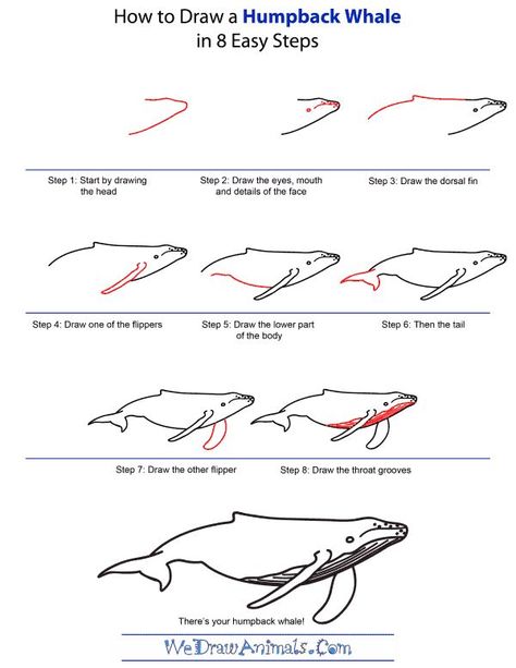 How To Draw A Humpback Whale - Step-by-Step Tutorial Sea Creatures Drawing, Whale Drawing, Creature Drawings, Humpback Whale, Painting Tips, Step By Step Drawing, Drawing Tips, Drawing Techniques, Learn To Draw