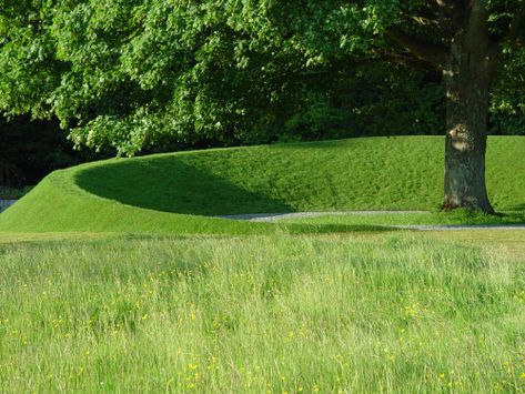 Limelight-meyer-silberberg-landscape-architecture-03 Garden Grasses, Land Forms, Grass Fields, Landform, Landscape Architecture Design, Landscaping Tips, Osaka Japan, Landscape Projects, Contemporary Landscape