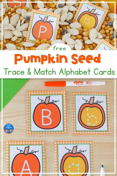 Pumpkin Lesson Plans, Pumpkin Literacy, Pumpkin Lessons, Centers For Preschool, Pumpkins Preschool, Alphabet Letter Matching, Abc Cards, Alphabet Activity, Halloween Sensory