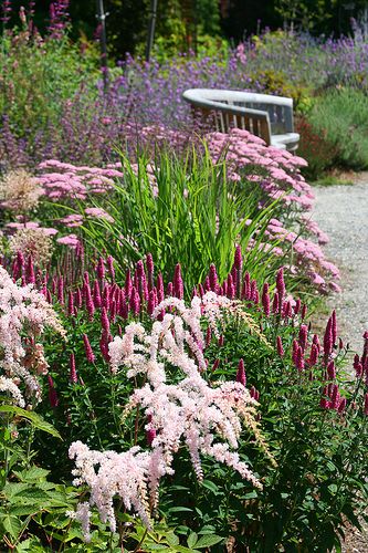 pinks Long Blooming Perennials, Have Inspiration, Pink Garden, Garden Borders, Gorgeous Gardens, Garden Cottage, Shade Garden, Front Garden, Garden Paths