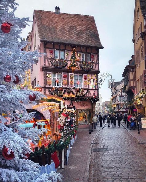 202.7 mil Me gusta, 1,058 comentarios - 🌎  EarthPix  🌎 (@earthpix) en Instagram: "Merry Christmas 🎄🎁 from Colmar, France 🇫🇷 by @tonyrammath" France Christmas, Snow Place, Christmas In Europe, France Travel Guide, French Christmas, Strasbourg France, France Photos, Beaux Villages, Visit Europe