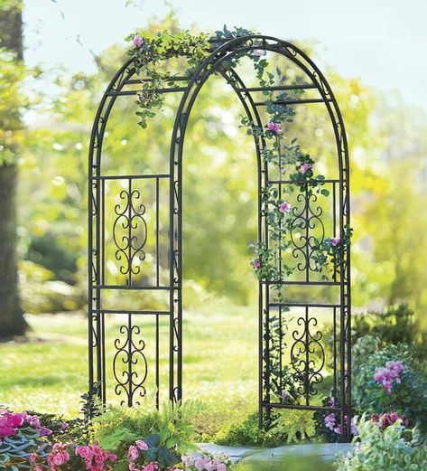 Wrought Iron Trellis Arch | Wayfair Garden Arbor With Gate, Pergola Metal, Metal Arbor, Iron Arch, Wood Arbor, Iron Trellis, Arbors Trellis, Arch Trellis, Metal Pergola