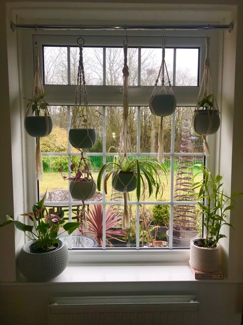 Macrame Plant hangers displayed in window recess Macrame Plant Hanger In Window, Plant Hanger For Window, House Plant Window Display, Plant Hanger Window Display, Plant Window Hanger, Hanging Plant Window Display, Plant Display Indoor Window, Recessed Window Ideas, Hanging Window Display