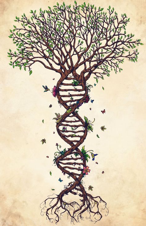 Ancestral Healing — root wisdom Tato 3d, Dna Tree, Green Tattoos, Mother Nature Tattoos, Tato Henna, Le Cri, Tree Tattoo Designs, Tree Of Life Tattoo, Heart Drawing