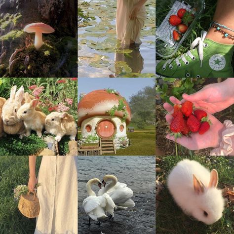 Cottagecore Moodboard Aesthetic, Mood Board Cottagecore, Animal Crossing Moodboard, Animal Moodboard, Cottagecore Moodboard, Instagram Feed Organizer, Spring Moodboard, Adopt Idea, Moodboard Inspiration