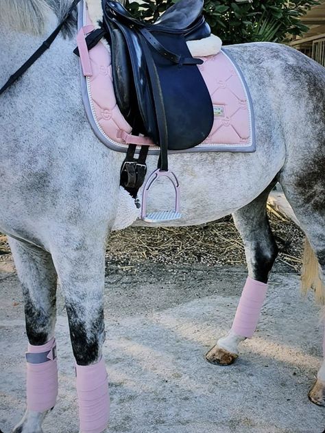 Pink Equestrian Aesthetic, Pink Horse Aesthetic, Pink Horse Tack, Horse Tack English, English Tack Sets, Pink Saddle, Horse Riding Gear, English Horse Tack, Horsey Life