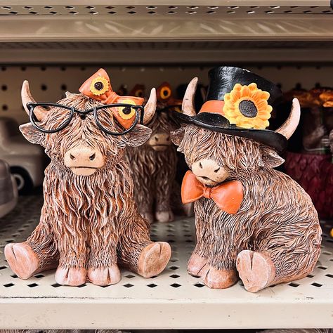 Highland Cow Fall Figurines 🥹🍂🍁 at Hobby Lobby 🐮🧡🤎 #hobbylobbyfinds #hobbylobby #fallfinds #highlandcows #highlandcow #highlandcattle #fyp #foryou #instafinds #instadaily #dailyfinds #thursday #vibes #falldecor #autumn #highlandcowsofinstagram #instapost #instacows #instalike #instafb #shopwithme Thursday Vibes, Hobby Lobby Fall, Highland Cattle, High Hopes, Board Design, Highland Cow, Hobby Lobby, Lobby, Fall Decor