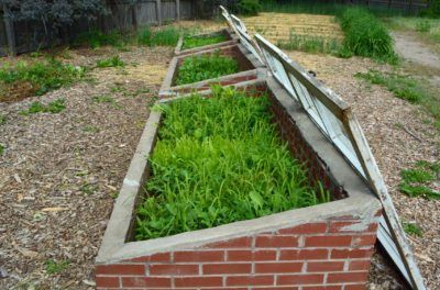 Zone 5 Fall Gardening - Tips On Fall Planting For Zone 5 Gardens Fall Garden Planting, Cheap Greenhouse, Small City Garden, Diy Greenhouse Plans, Fall Gardening, Fall Planting, Lost Garden, Gardening Zones, Fall Vegetables