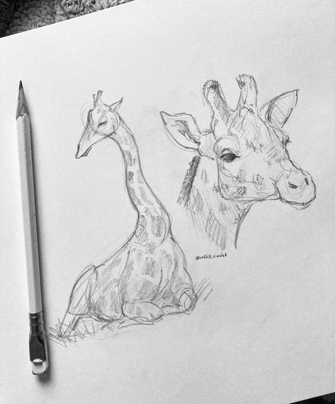 Cute Quick Sketches, Giraffe Drawing Sketches, Giraffe Sketch, Animals Sketch, Adorable Baby Animals, Animal Drawings Sketches, Fluffy Kittens, Sketchbook Drawings, Arte Inspo