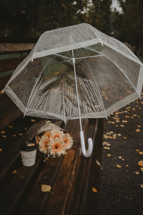 Clear Umbrella Aesthetic, Aesthetic Umbrella, Umbrella Aesthetic, Floral Umbrellas, Rainy Spring, Lace Umbrella, Clear Umbrella, Cute Umbrellas, Chic Aesthetic