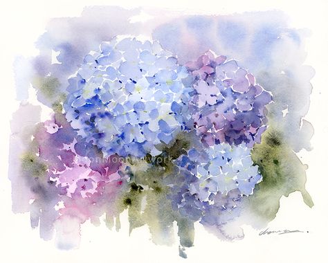 If you're intereted in learning how to painting it, I've got just the thing for you! Join my Patreon page, and you'll gain exclusive access to a library filled with over 100 Realtime Ad-Free Watercolor painting tutorials, including 50 tutorials with voiceover. Hydrangeas Art, Watercolor Hydrangea, Hydrangea Painting, Painting Fine Art, Wall Art Flower, Original Watercolor Art, Loose Watercolor, Watercolor Sketchbook, Abstract Flower Painting