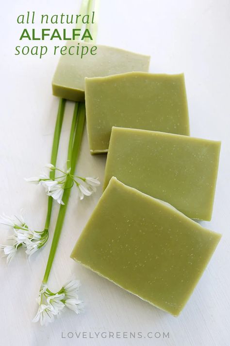 How to Make Alfalfa Soap, a Natural Green Soap Recipe that Lasts • Lovely Greens Natural Soap Colorants, Seaweed Soap, Make Your Own Soap, Homemade Lip Balm Recipe, Homemade Soap Bars, Cold Process Soap Recipes, Handmade Soap Recipes, Soap Colorants, Soap Making Recipes