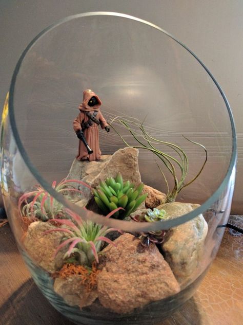 Jawa terrarium Starwars Terrarium, Geek Terrarium, Nerd Terrarium, Star Wars Terrarium, Terrarium Scene, Star Wars Bedroom, Star Wars Crafts, Star Wars Room, Star Wars Decor