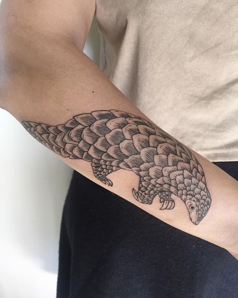 Pangolin Tattoo, Pangolin Illustration, Arrowhead Tattoo, Illustration Tattoo, Tattoo Shop, To Meet, Tattoo Artists, Meet You, Tatting