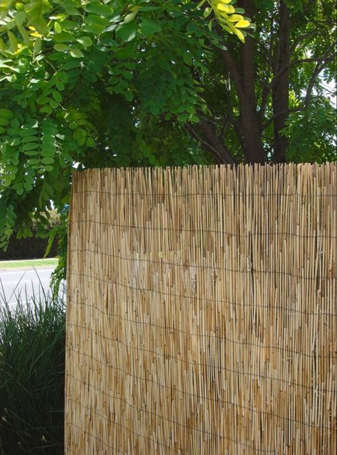 Reed Fencing, Garden Screen, Container Cabin, Garden Screening, Inviting Home, Danish Oil, Diy Installation, Fencing, Feature Wall