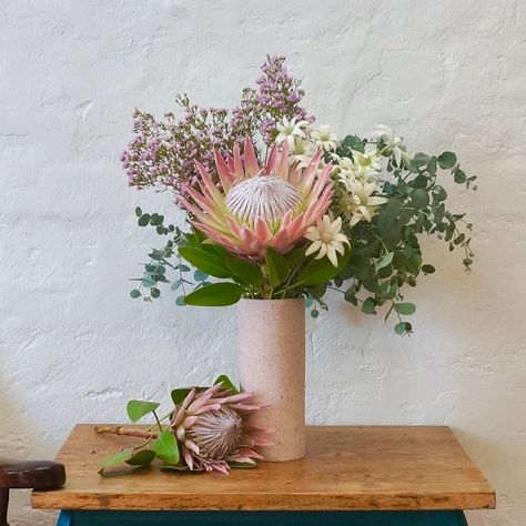 100% Aussie grown, Flannel Flower, Geraldton Wax & Baby Eucalyptus, crowned by the ah-mazing King Protea Bespoke Boxes, Flannel Flower, King Protea, Turtle Bay, Flower Arrangement, Fresh Flowers, Flower Designs, Floral Arrangements, Florist