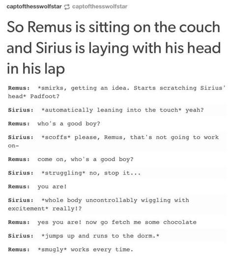 Wolf Star, Severus Rogue, Harry Potter Memes Hilarious, Gay Harry Potter, Harry Potter Puns, Harry Potter Feels, Images Harry Potter, Harry Potter Ships, Harry Potter Comics