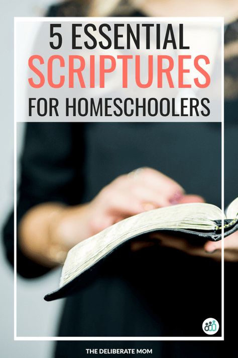 Spiritual Education, Christian Homeschool Curriculum, Free Homeschool Resources, Creative Lesson Plans, Family Bible, Scripture Memorization, Homeschool Freebies, Better Mom, Family Devotions