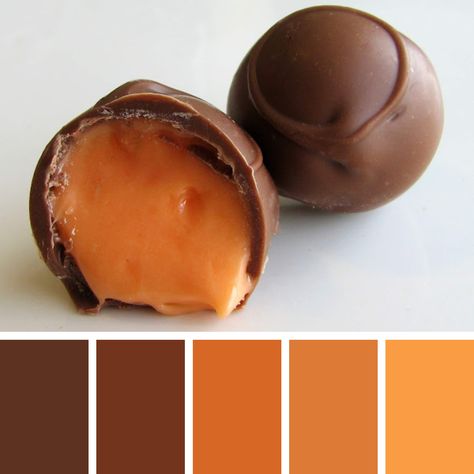 Chocolate Color Palette, Milk Chocolate Truffles, Chocolate Palette, Palette Challenge, Food Inspired, Orange Color Palettes, Color Palette Challenge, Colour Combos, Chocolate Color