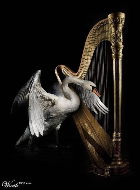 Chateau De Malmaison, Philip Glass, Harps Music, The Harp, Amy Brown, Swan Song, Harbin, Musical Art, White Swan