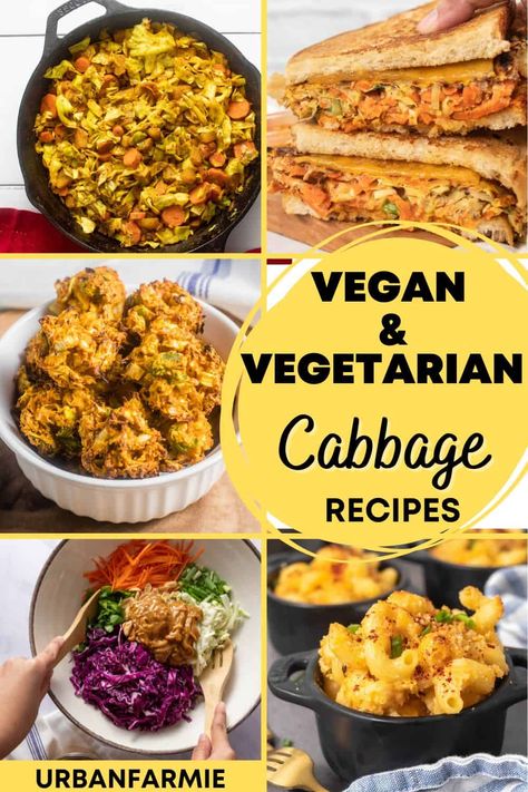 Cabbage Stew Vegetarian, Ways To Cook Cabbage, Vegetarian Cabbage Recipes, Vegan Cabbage Recipes, Napa Cabbage Recipes, Cook Cabbage, Vegan Cabbage, Cabbage Curry, Cabbage Recipes Healthy