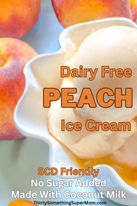 Coconut Ice Cream Recipe Dairy Free, Dairy Free Homemade Ice Cream, Ninja Creami Coconut Milk Recipes, Ninja Creami Coconut Milk, Dairy Free Creami Ninja Recipe, Coconut Cream Ice Cream Recipe, Ninja Creami Recipes Dairy Free, Dairy Free Ninja Creami Recipe, Dairy Free Ninja Creami