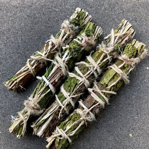 In this article, we will guide you on how to properly dry cedar for making smudge sticks, ensuring that you create high-quality, long-lasting, and effective smudge sticks that you can use for your spiritual rituals. Smudge Sticks Diy, Cedar Smudge, Spiritual Rituals, Hedge Witch, What To Use, White Pine, Smudge Sticks, Holistic Health, Witch