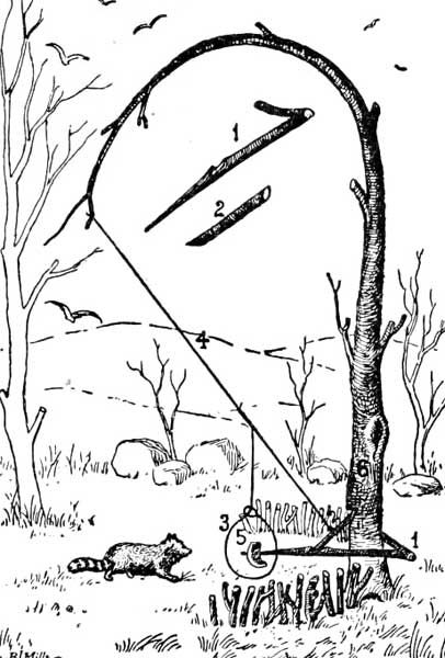 The Project Gutenberg eBook of Deadfalls and Snares by A. R. Harding Snare Trap, Supraviețuire Camping, Shtf Survival, Animal Traps, Survival Knots, Bushcraft Skills, Primitive Survival, Survival Life Hacks, Survival Shelter