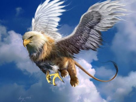 Gryphon / Griffin - fantasy art, greif, griffin, mystery, fantasy, gryphon, gryphon in clouds Creature Fantasy, Mythical Animal, Mythical Beast, An Eagle, Mythological Creatures, Mystical Creatures, Arte Fantasy, 판타지 아트, Magical Creatures