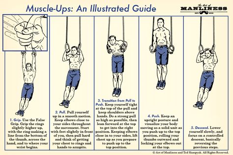 How to Perform a Muscle-Up: An Illustrated Guide Rocky Workout, Gymnastic Rings Workout, Rings Workout, Gymnastic Rings, Mma Gear, Manly Stuff, Manly Man, How To Wear Rings, Body Exercises