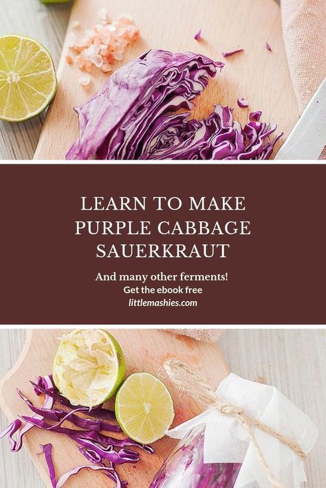 Purple Sauerkraut, Diy Probiotics, Sourcrout Recipes, Purple Cabbage Recipes, Pouch Recipes, Healthy Lunchbox Recipes, How To Make Purple, Recipes For Babies, Kid Recipes