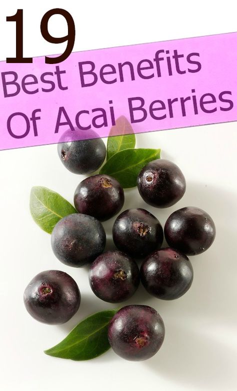 19 Amazing Benefits And Uses Of Acai Berries #acai #superfruitjuice Acai Berry Benefits, Benefits Of Acai, What Is Acai, Acai Benefits, Benefits Of Berries, Aphrodisiac Foods, Micro Nutrients, Acai Berry, Goji Berries