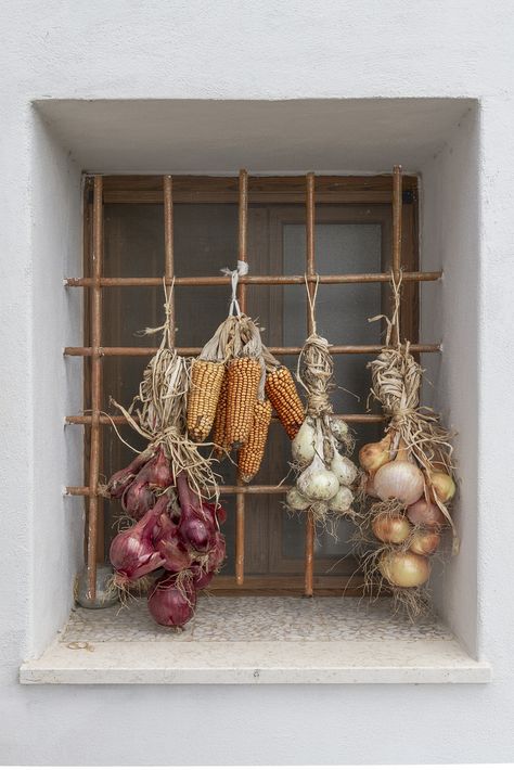 Weird Furniture, Food Tool, Fruit Decor, House Farm, Garden Calendar, French Country Living Room, Asian Inspiration, Boutique Decor, Organic Living