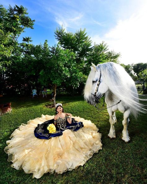 Quince Photoshoot With Horse, Quince Photoshoot Ideas With Horse, Quinceanera Horse Pictures, Quince Horse Photoshoot, Quinceanera Horse, 15 Photoshoot, Quince Poses, Quince Picture Ideas, Quinceañera Photoshoot Ideas