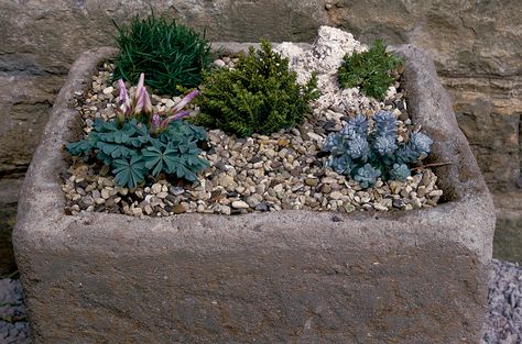 Sedum Garden, Broken Pot Garden, Garden Troughs, Alpine Garden, Alpine Plants, Garden Landscape Design, Garden Borders, Mini Garden, Succulents Garden