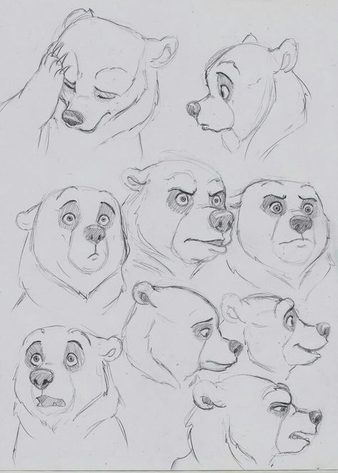 Disney Bear Drawing, Brother Bear Sketch, Bear Nose Drawing, Disney Animals Sketches, Spirit Bear Drawing, Bear Drawing Reference, Bear Drawing Sketches, How To Draw A Bear, Cartoon Bear Drawing